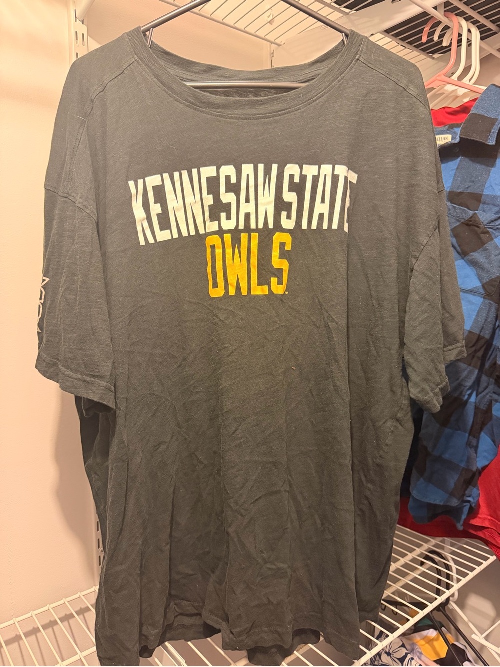 Champion Gray Kennesaw State Owls Short Sleeve Tee